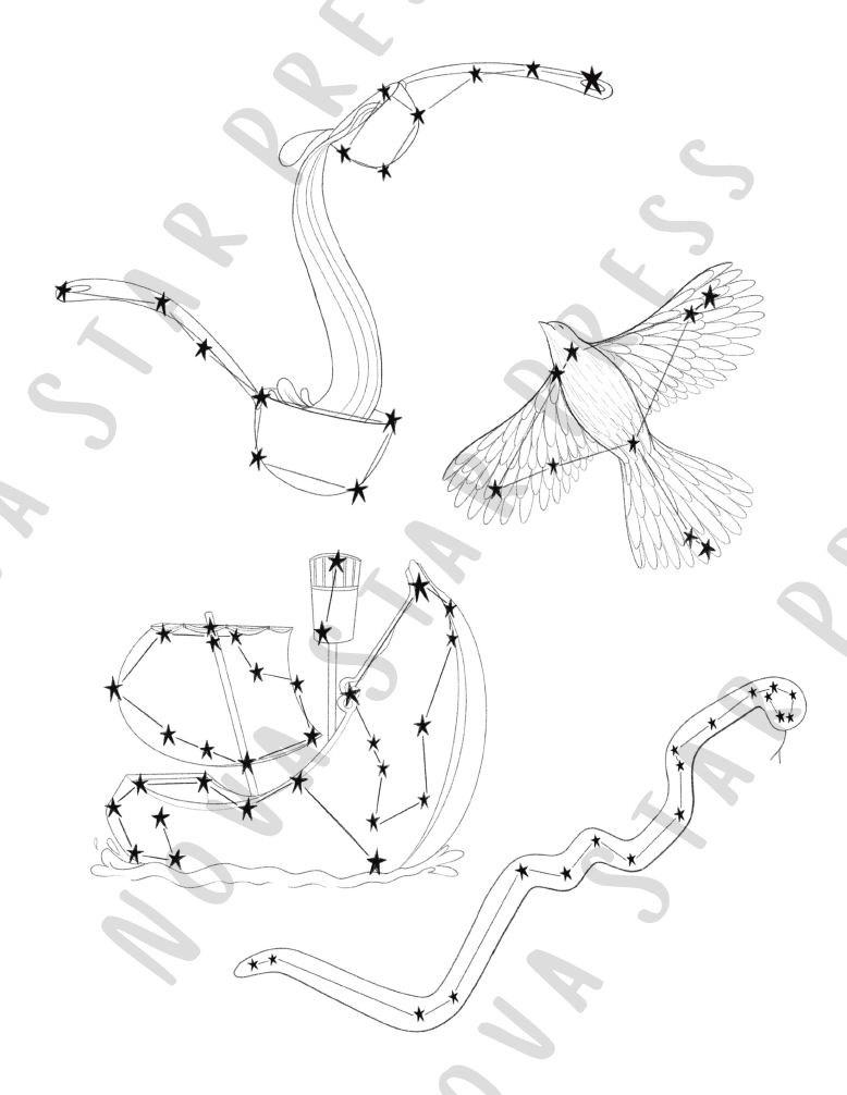 Coloring Pages Digital Download